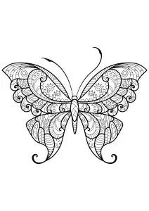 Butterfly beautiful patterns 12