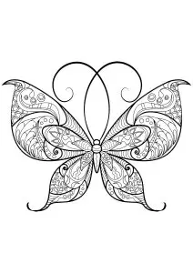 Butterfly beautiful patterns 13