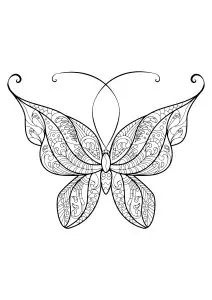 Butterfly beautiful patterns 14