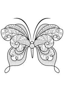 Butterfly beautiful patterns 15