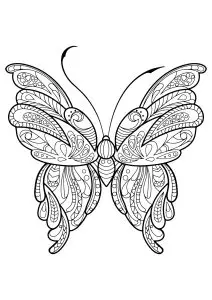 Butterfly beautiful patterns 16