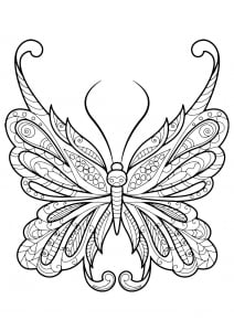 Incredible butterfly with simple motifs (Butterflies & Insects Coloring Page)