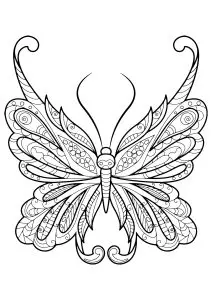 Incredible butterfly with simple motifs