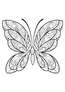 Butterfly beautiful patterns 2