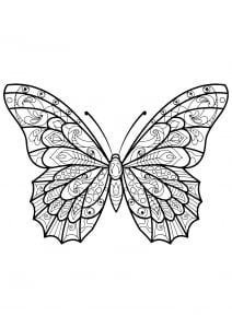 Coloring butterfly beautiful patterns 3