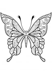 Butterfly Beautiful Patterns 4