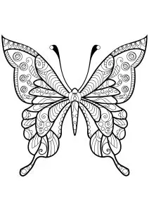 Butterfly beautiful patterns 4