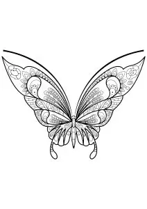 Butterfly beautiful patterns 7