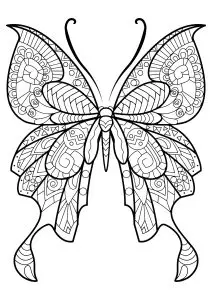 Butterfly beautiful patterns 8