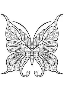 Butterfly beautiful patterns 9