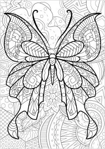Butterfly with flowered background   2