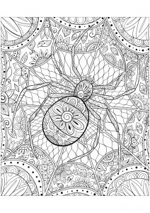 Complex coloring page of a spider