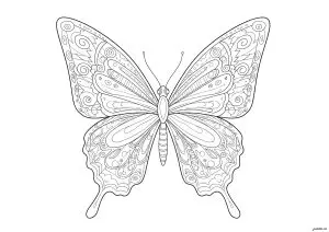 Colouring of a butterfly with wings full of details and motifs