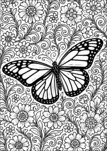 Insects 77806