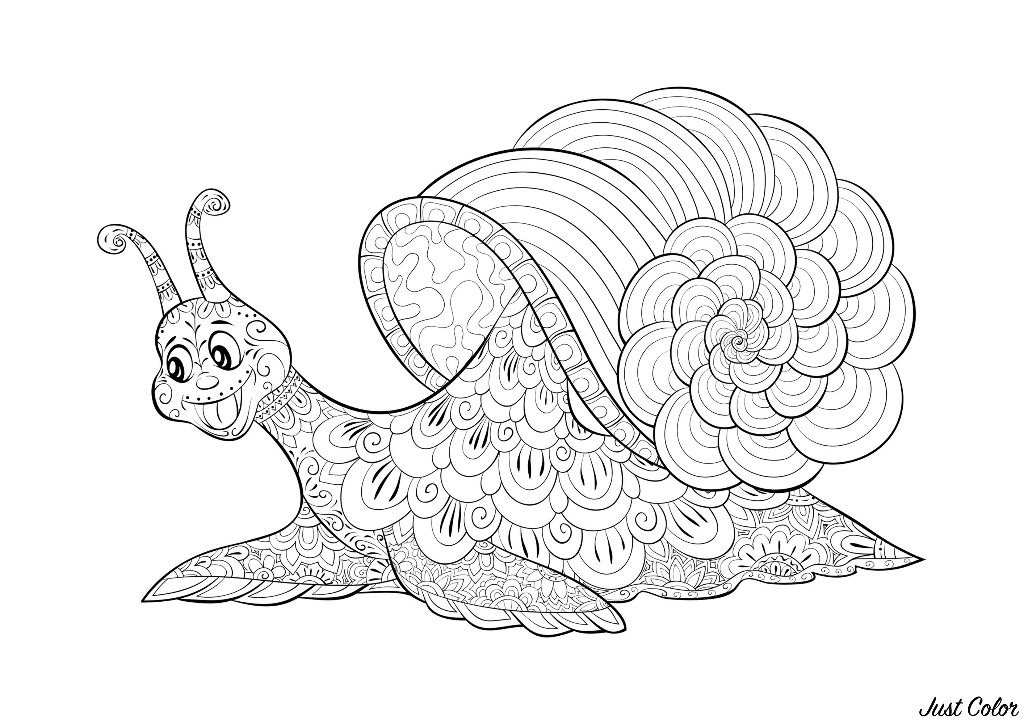 Smiling snail, composed of more or less complex patterns