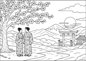 Under the cherry blossoms