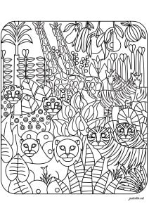 Various Animals: Lions, Tigers, Giraffes, Zebras ...