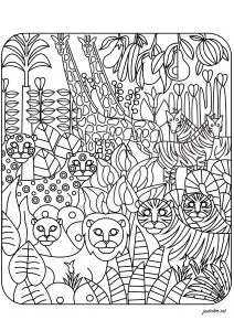 Various animals: Lions, tigers, giraffes, zebras ...