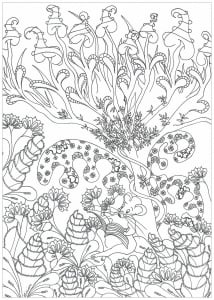 Jungle Forest Coloring Pages For Adults