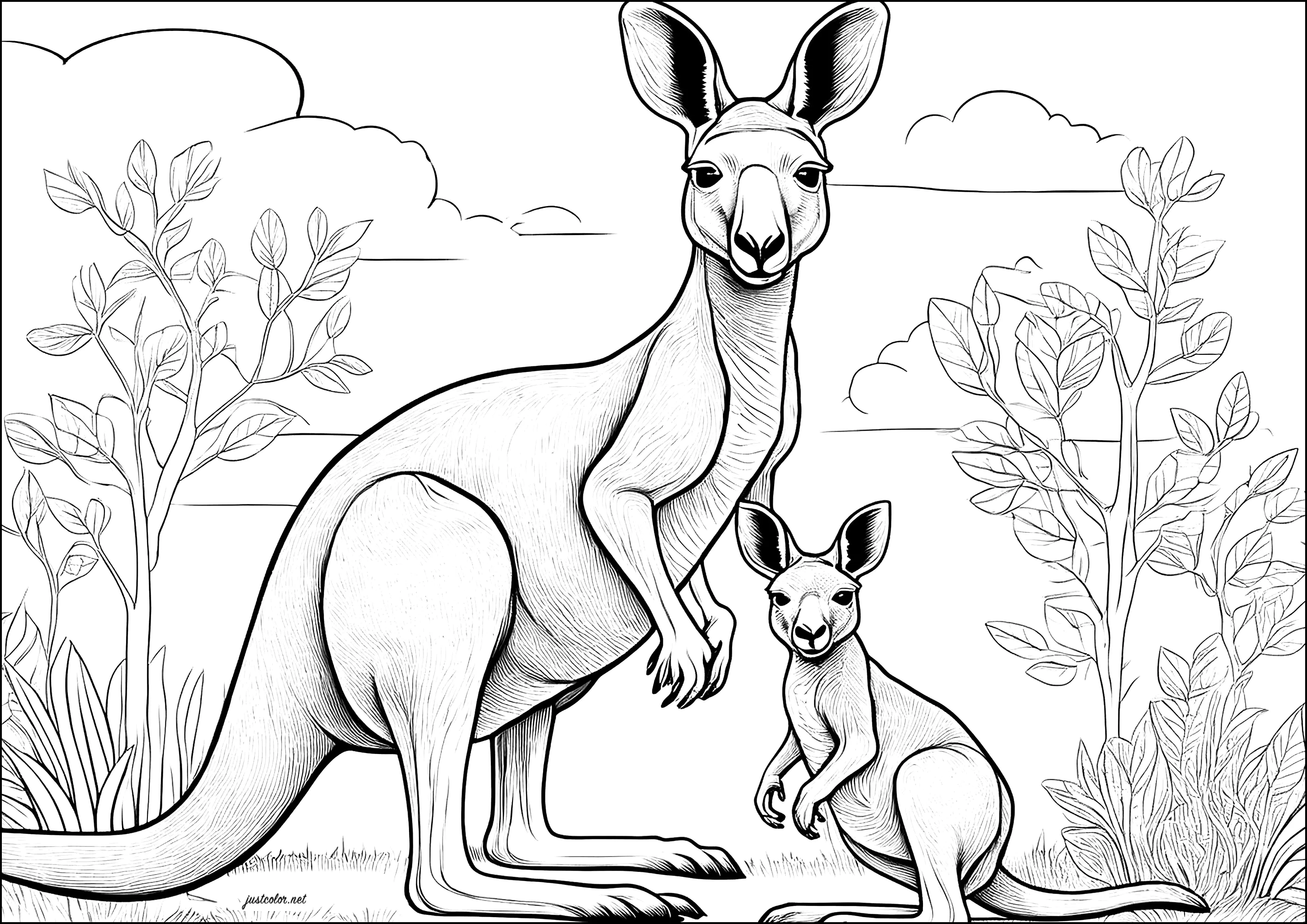 Mama kangaroo and her baby (Printable Coloring Page for adults)