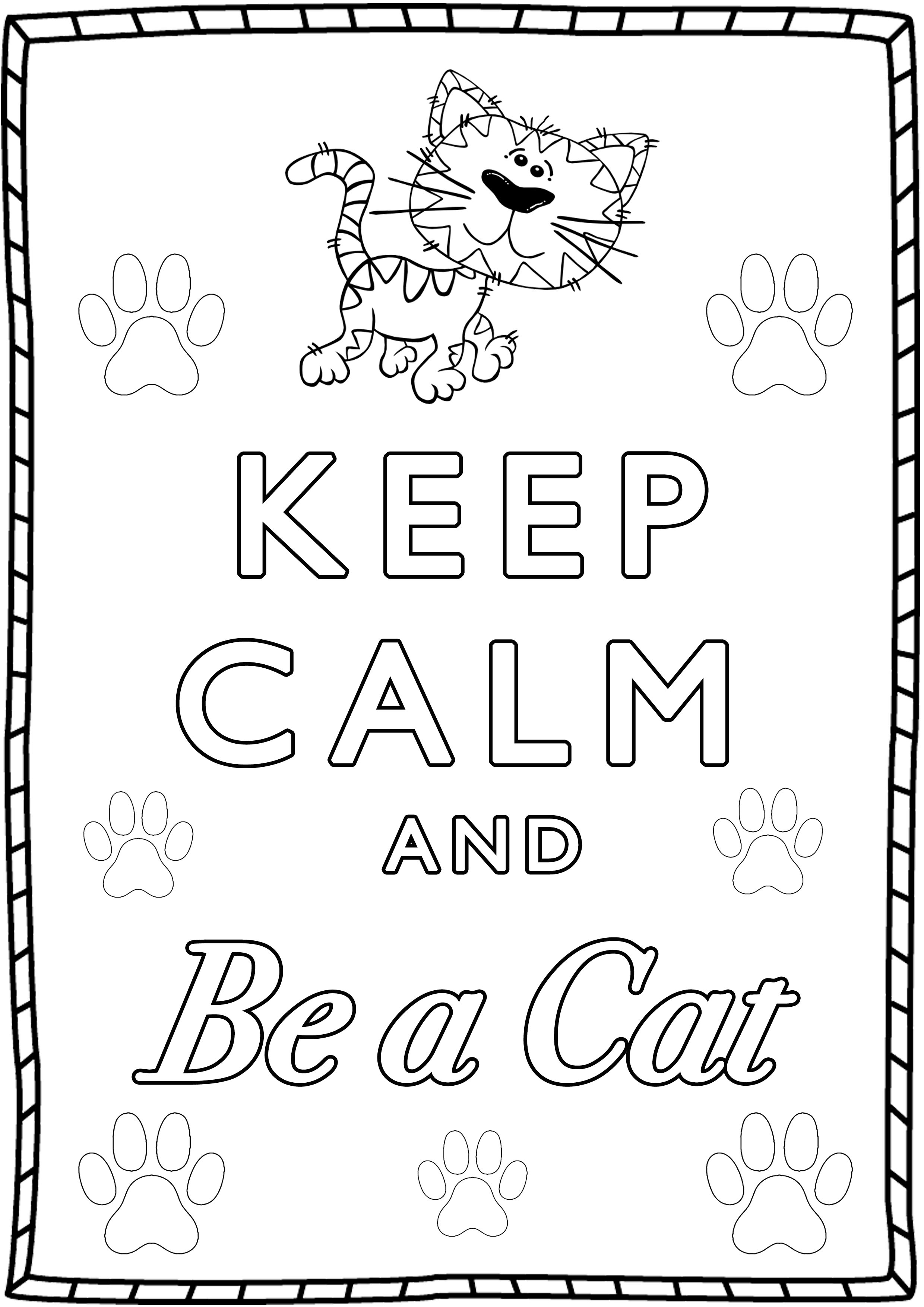 Keep Calm and Be a Cat : A cute little cat