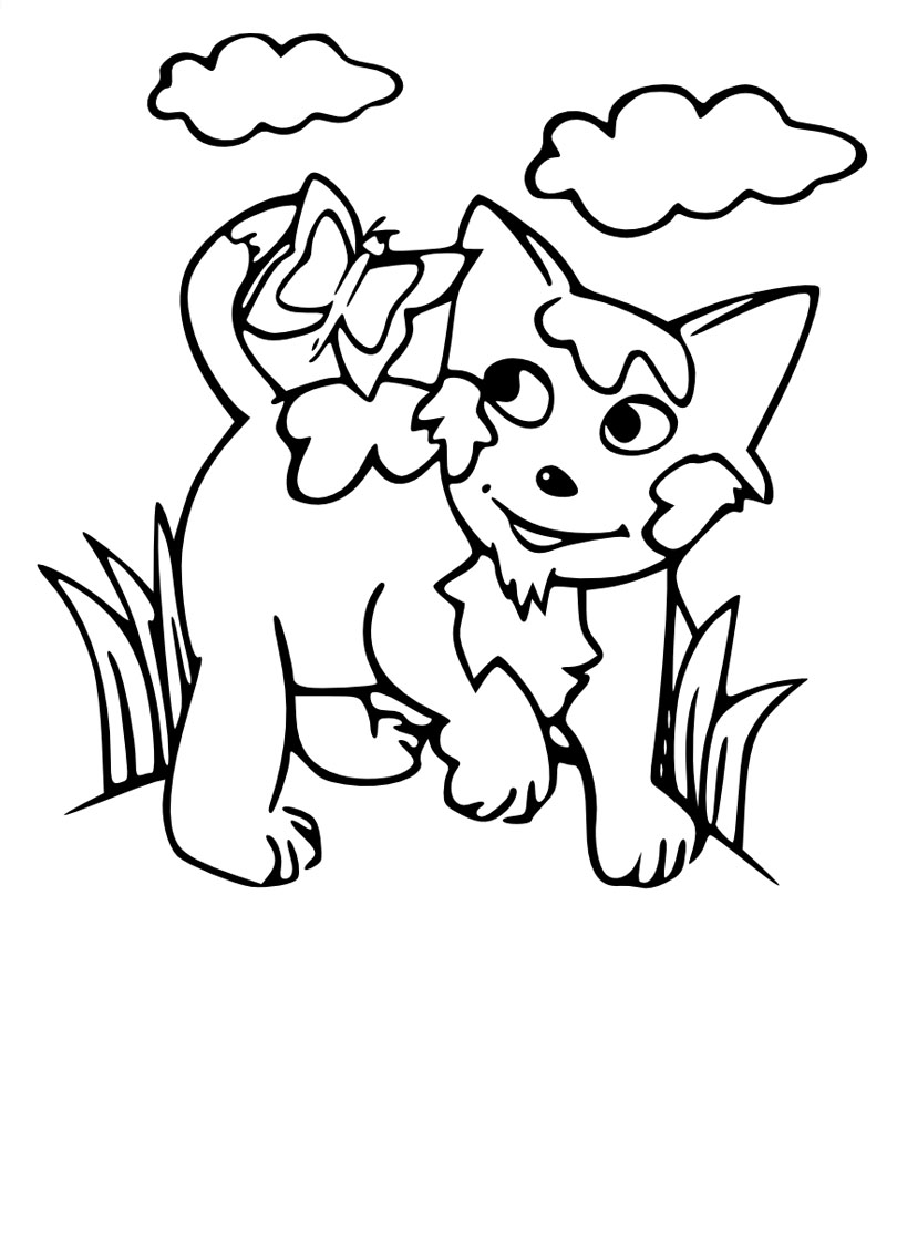 Cat and butterfly - Animals Adult Coloring Pages
