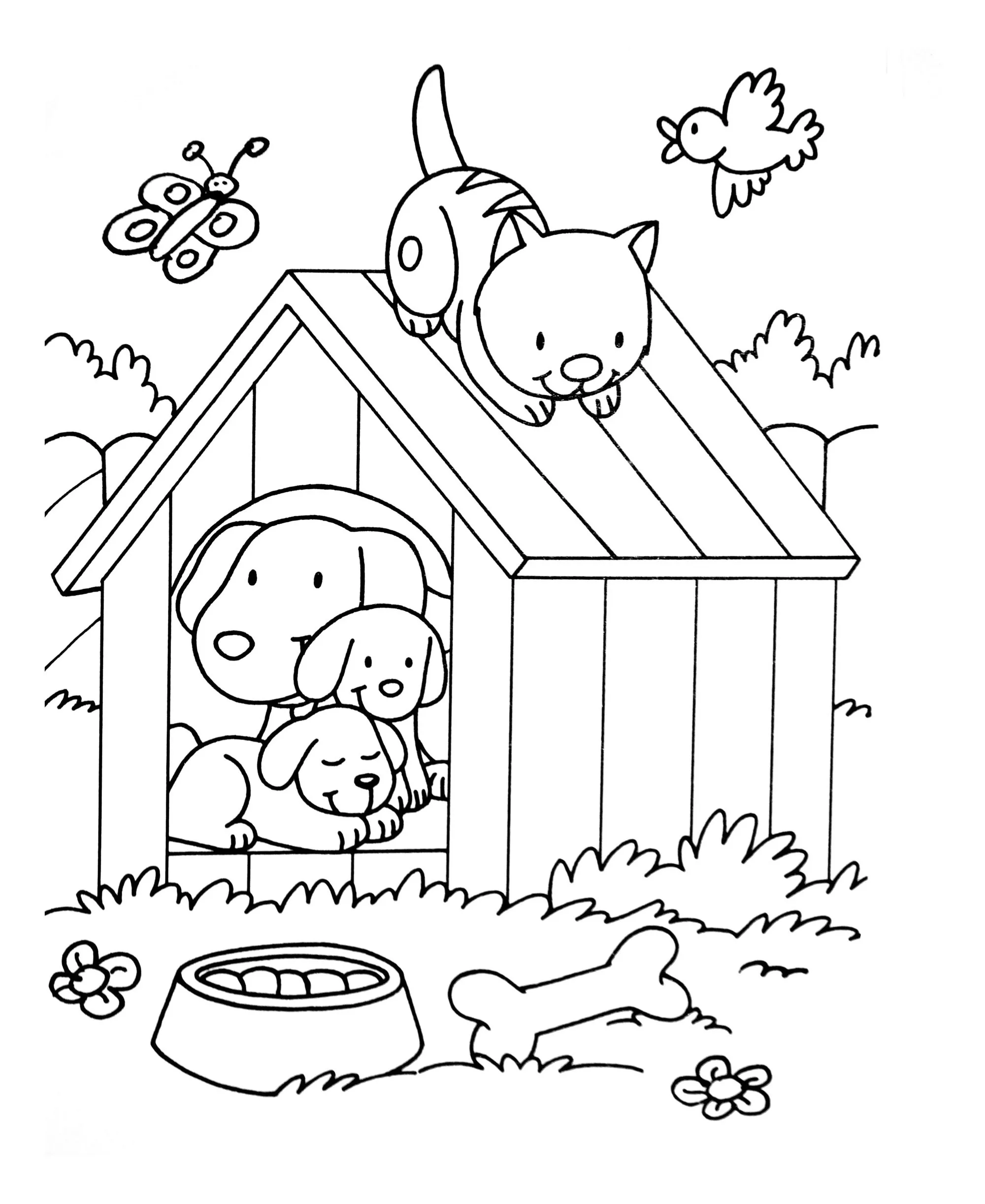 Dog cat birdjpg (Printable Animals Coloring Page for adults)