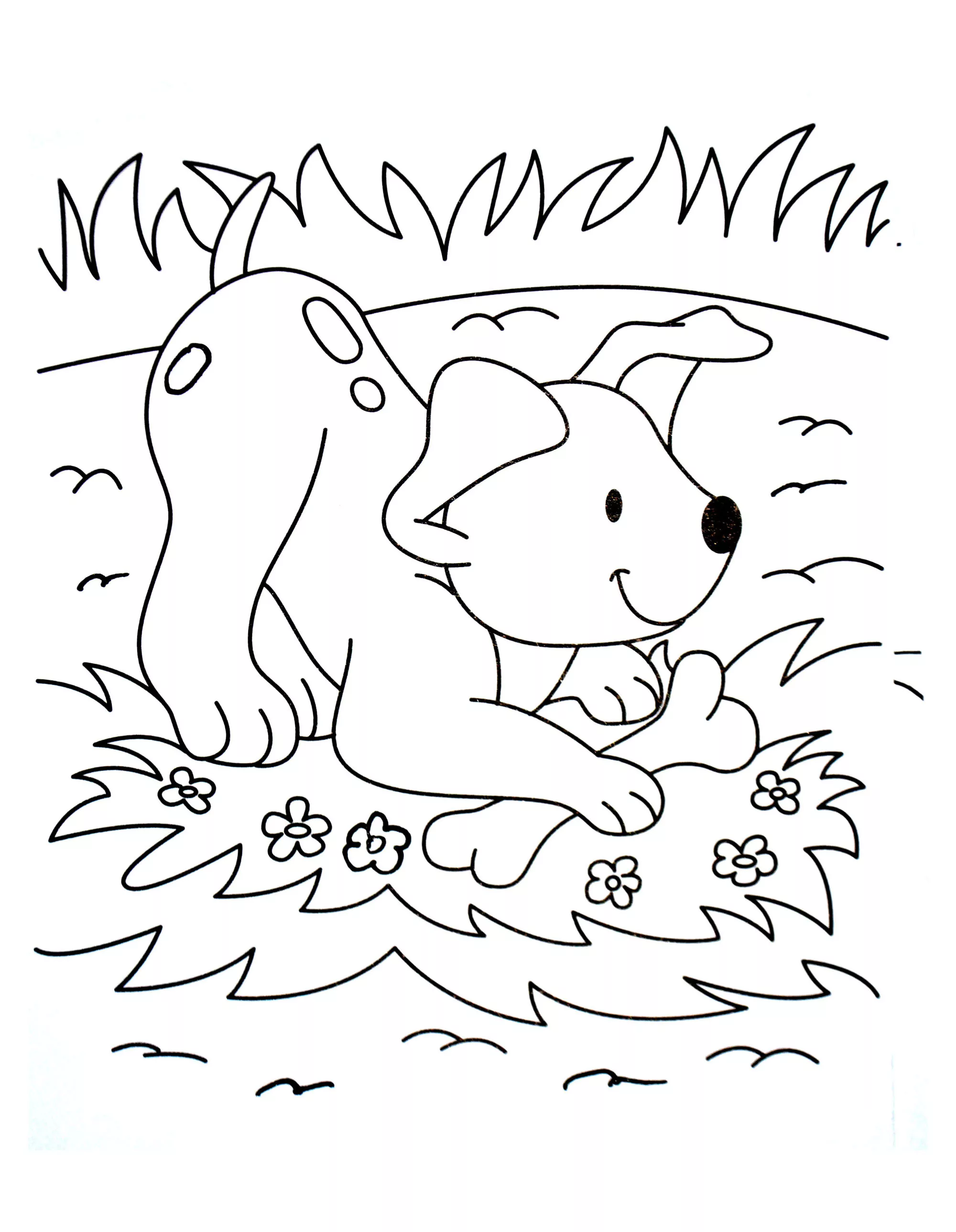 To print dogs - 2 (Printable Animals Coloring Page for adults)