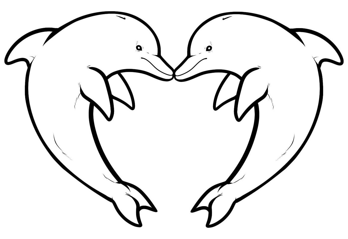 Two dolphins forming a heart