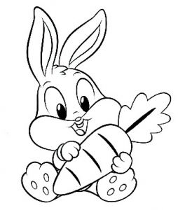 Funny Rabbit With Carot