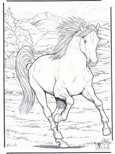 Coloring horse at a gallop 2