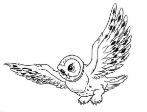 Coloring owl flying