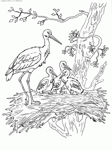Coloring stork family