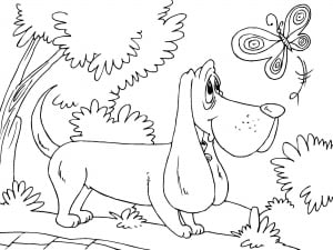 Dog And Butterfly