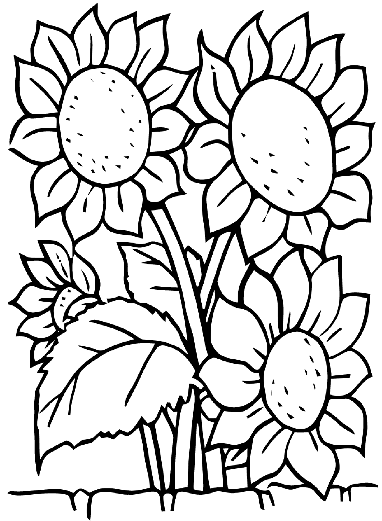 Sunflowers Flowers Coloring Pages For Kids To Print Color