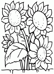 Coloring sunflowers