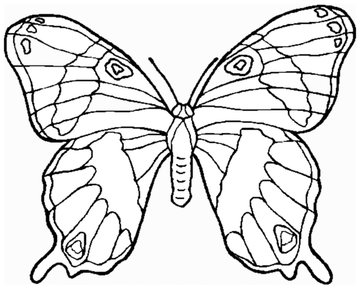 Download Little butterfly - Insects Coloring pages for kids to print & color