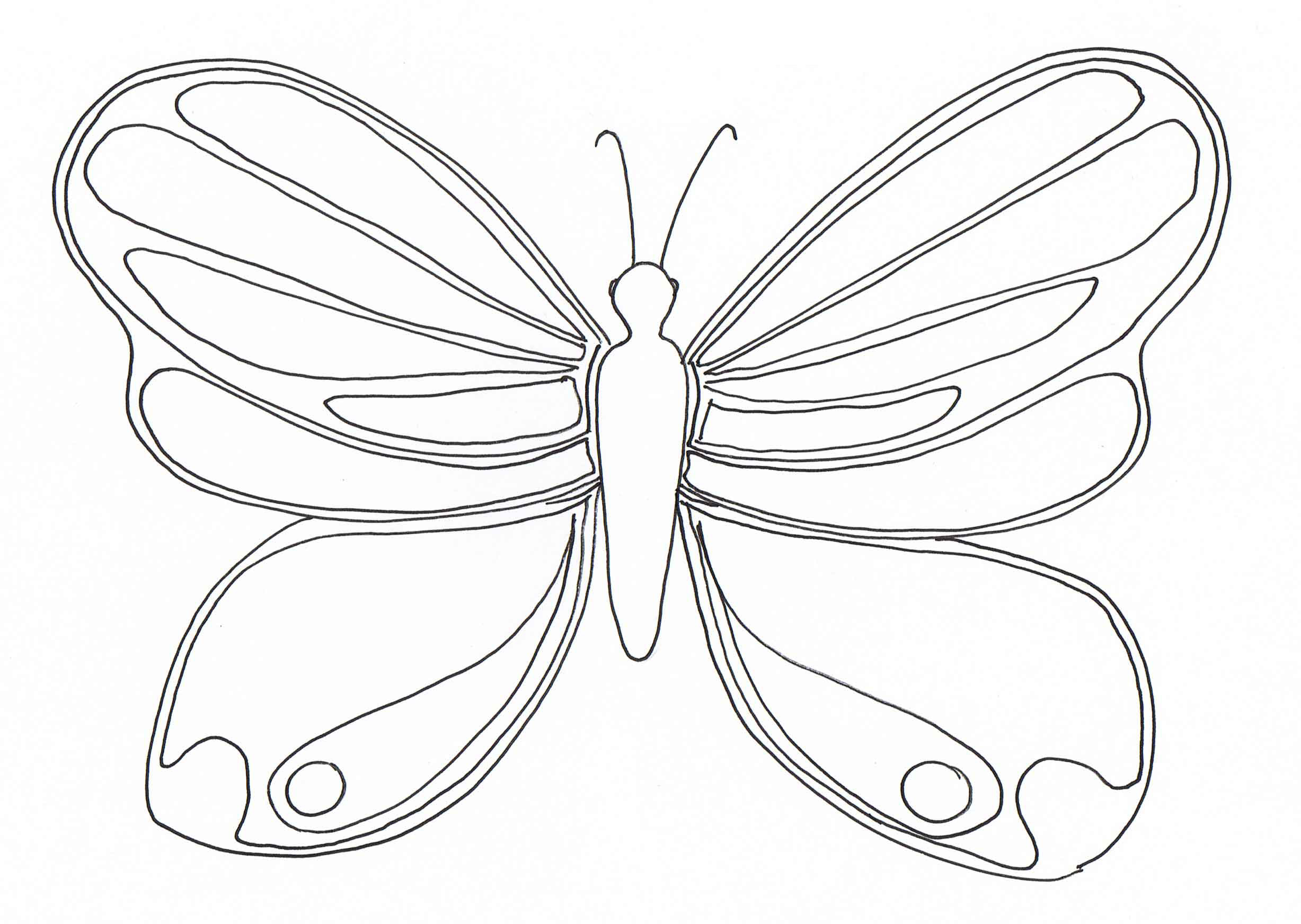 Magnificent-butterfly - Insects Coloring pages for kids to print & color