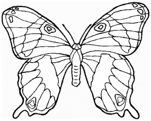 coloring-little-butterfly