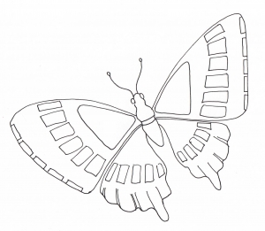 Coloring simple butterfly flying