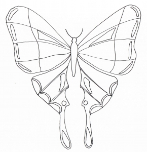 Coloring simple butterfly