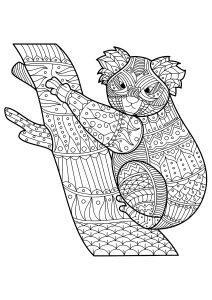 Little Koala On A Branch, With Pretty And Varied Patterns