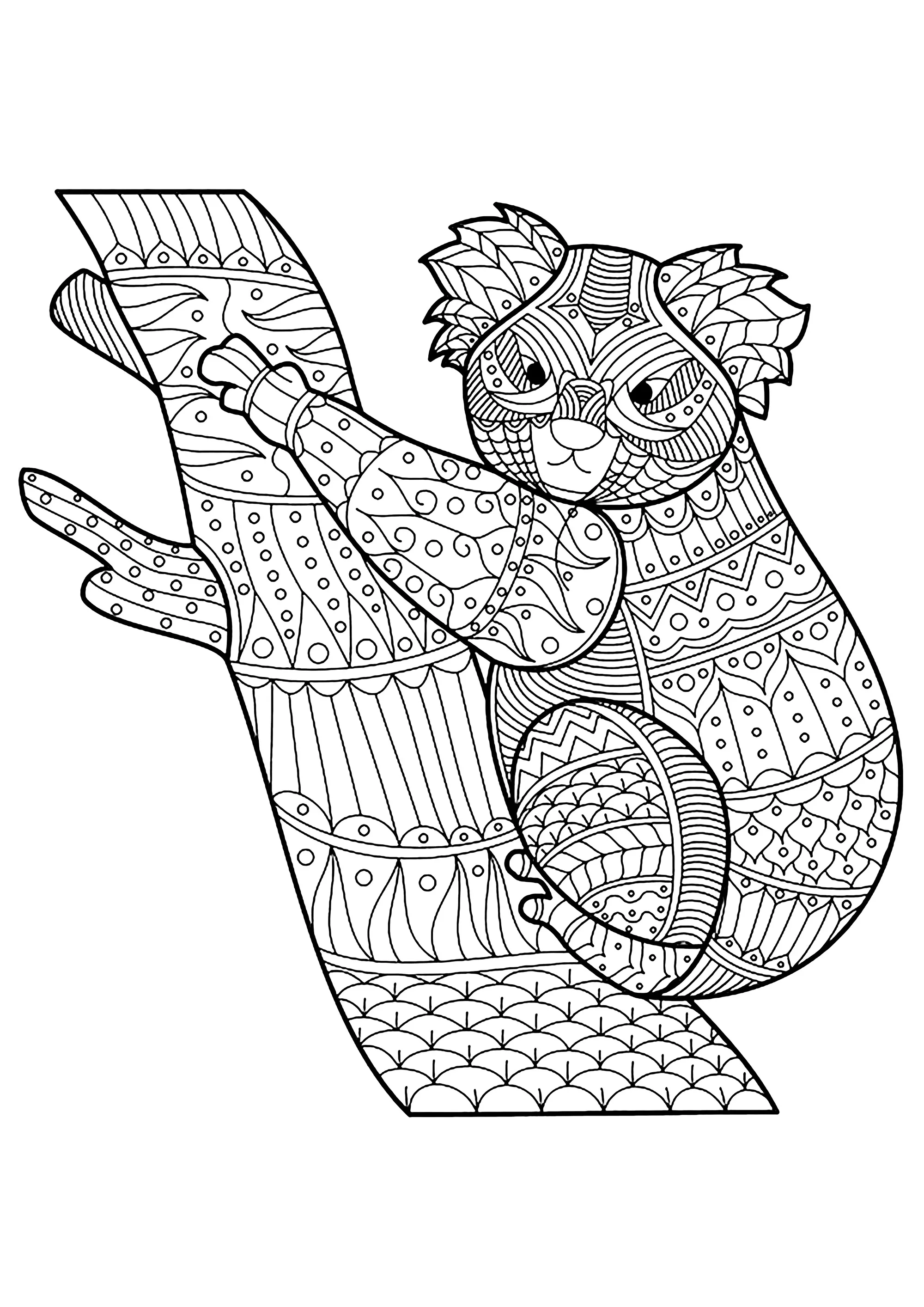 Little koala on a branch, with pretty and varied patterns (Printable Coloring Page for adults)