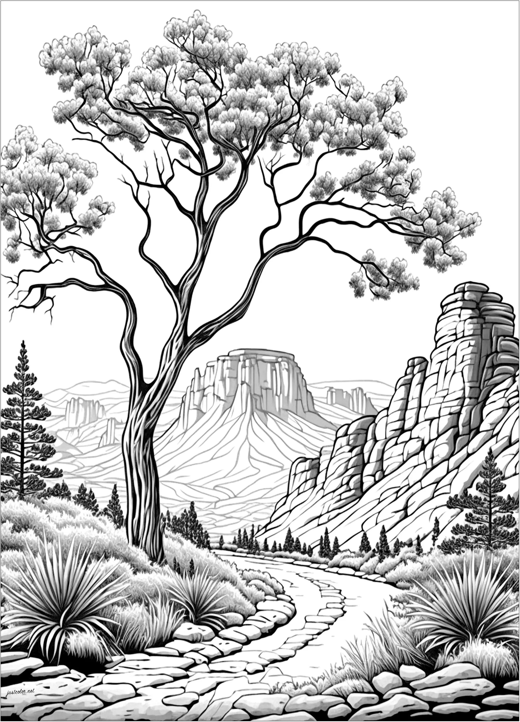 Far West landscape (Printable Coloring Page for adults)