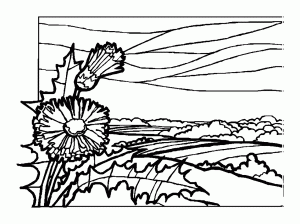 Coloring landscapes to color 1