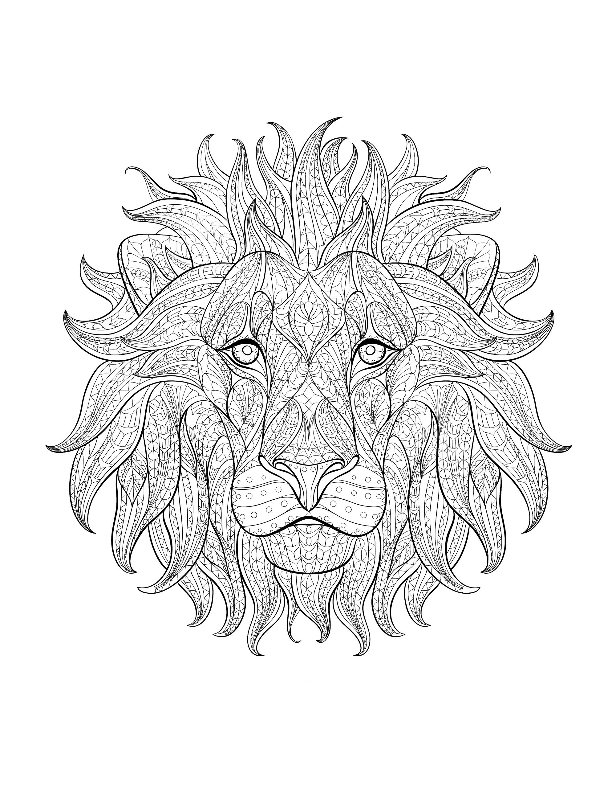 Magnificent Lion head, from front, Artist : maverickinfanta