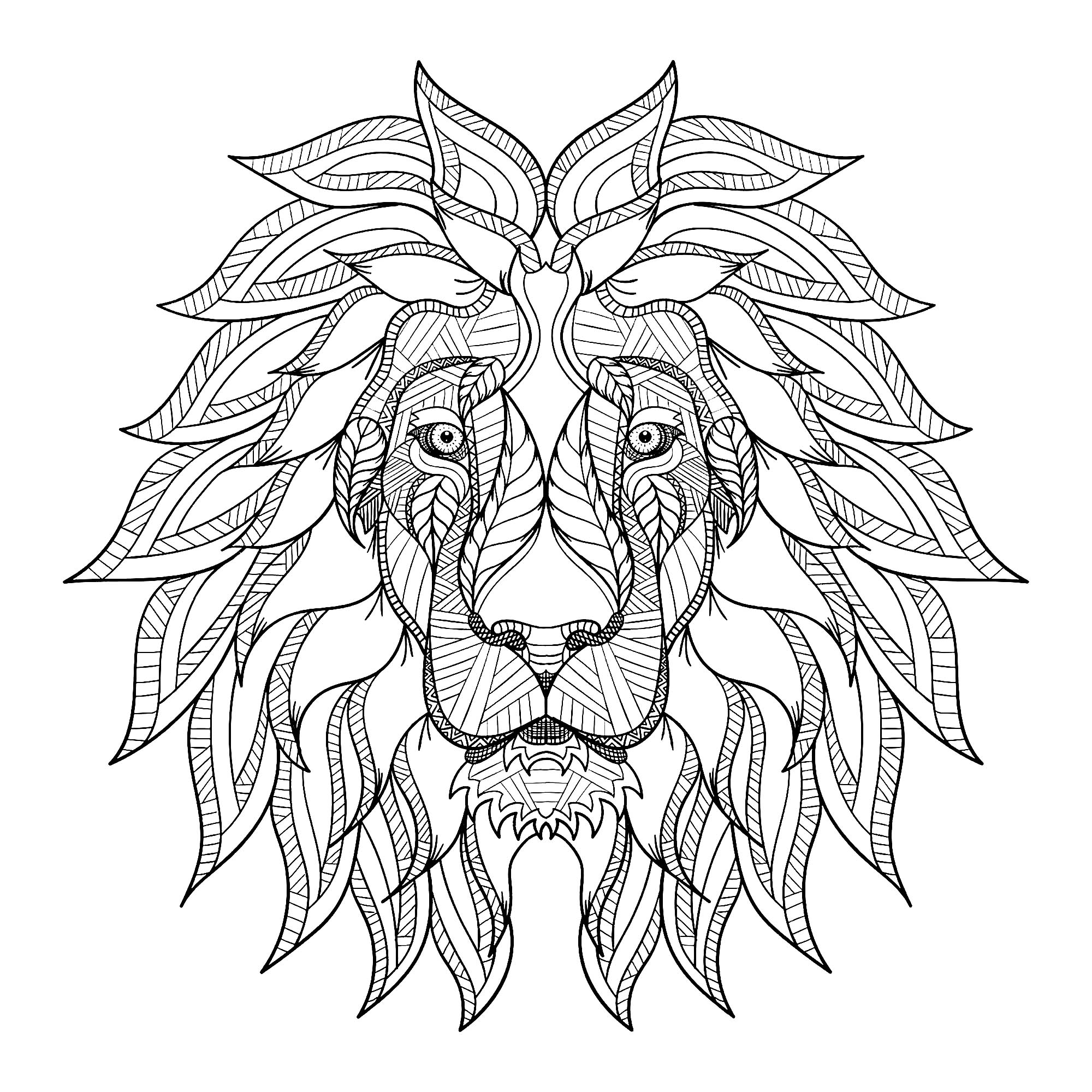 Lion head with big mane - Lions Adult Coloring Pages