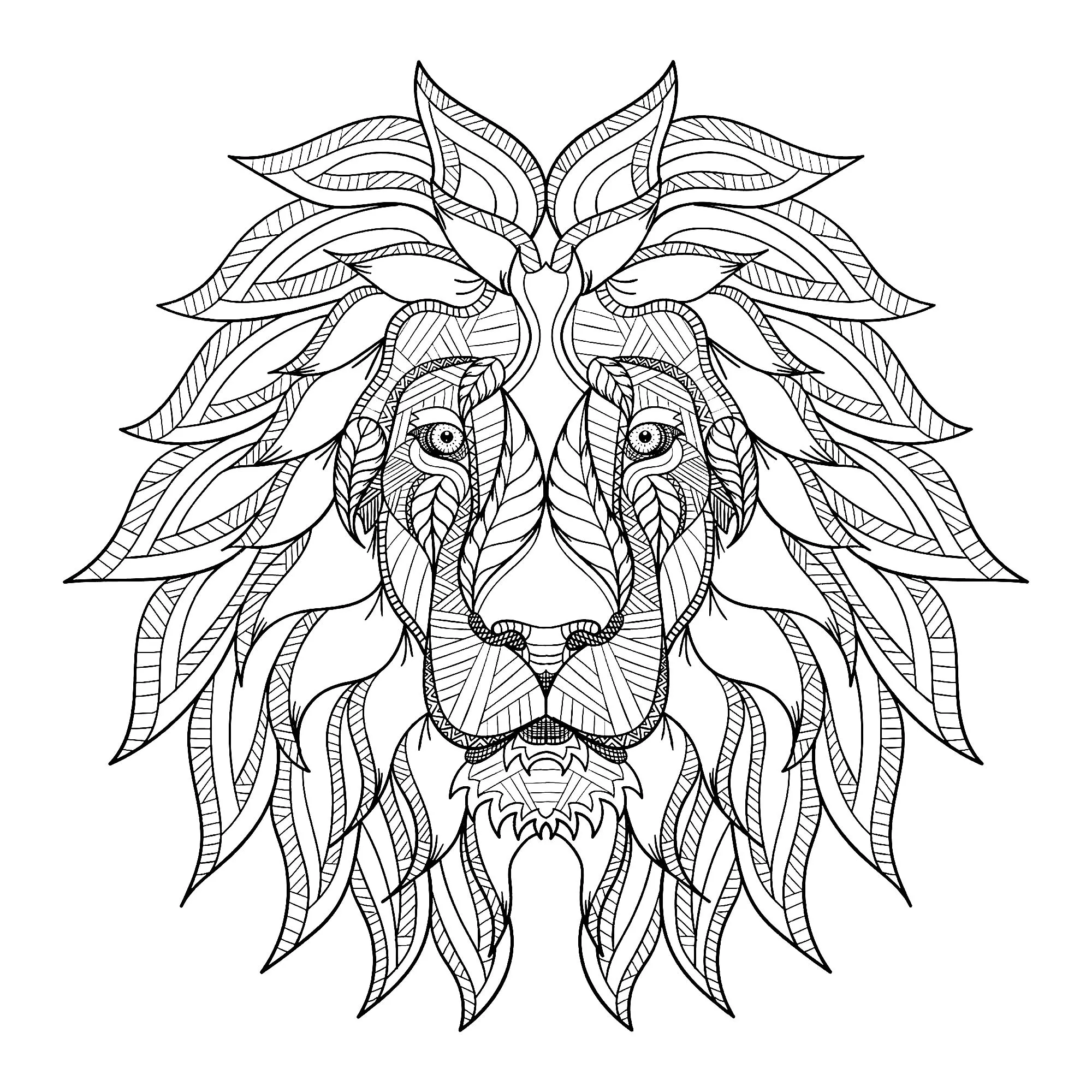 Lion's head and pretty mane (Printable Coloring Page for adults)
