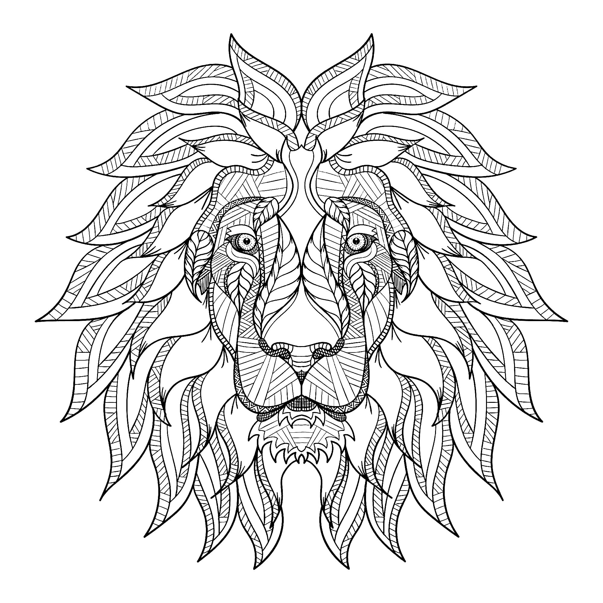 Lion Head With Big Mane Lions Adult Coloring Pages