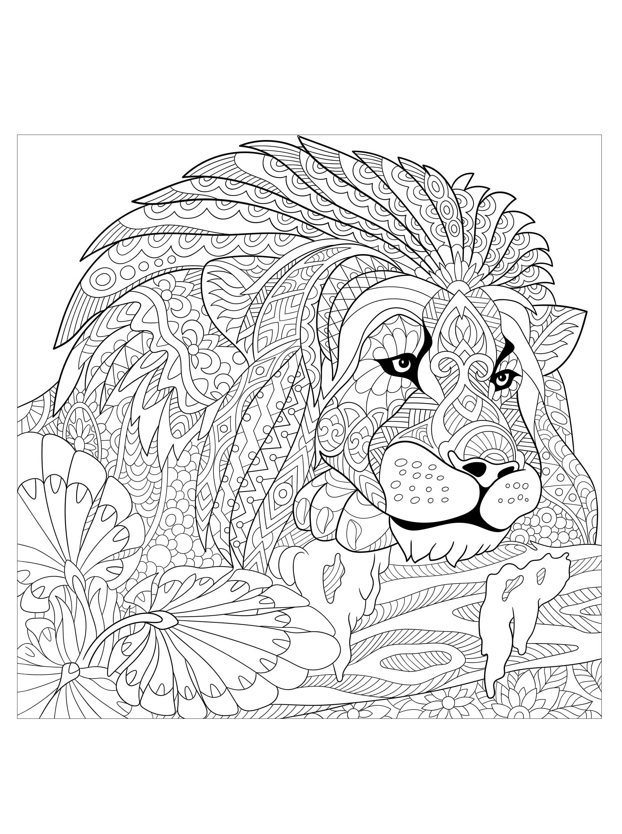 Lion king with patterns   Lions Adult Coloring Pages